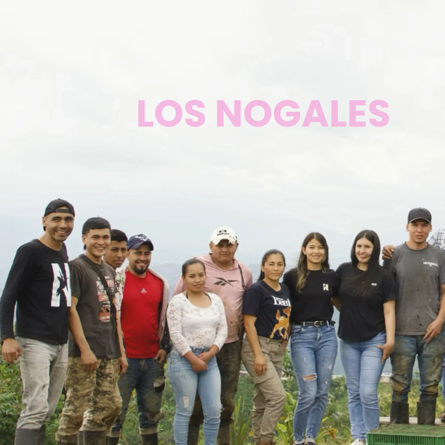 Los Nogales Huila – Herkunftsfarm der Juice Box Kaffeebohnen – MANANA cafẽ
