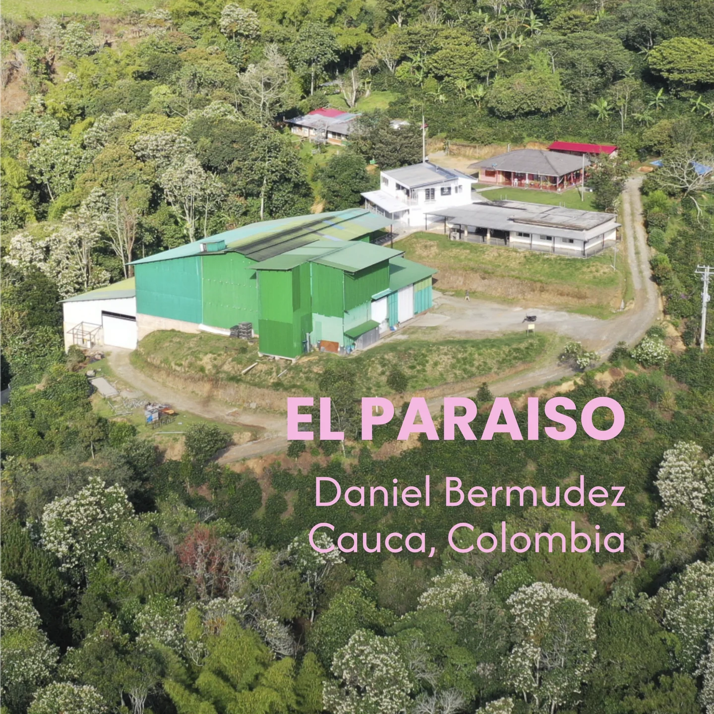 El Paraíso Cauca – Herkunftsfarm der Peach Perfect Kaffeebohnen – MANANA cafẽ