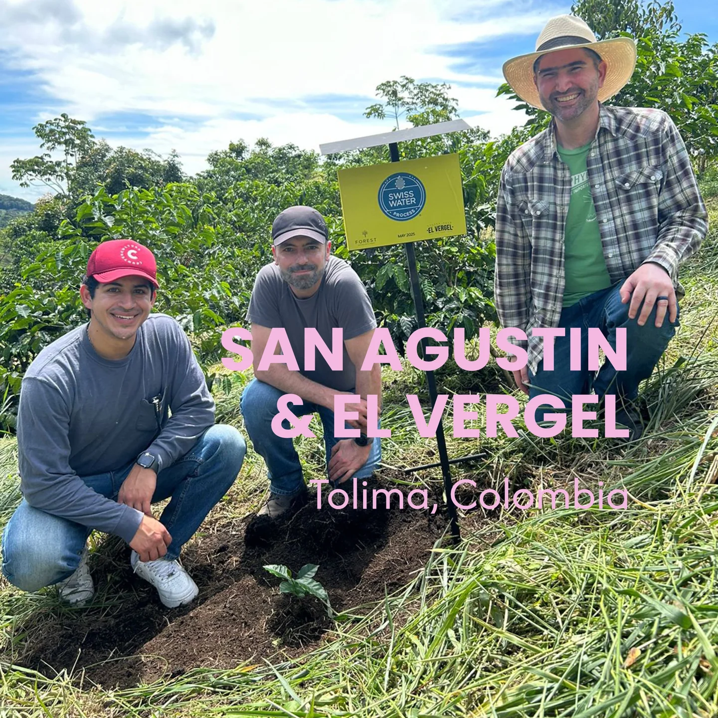 El Vergel Estate Tolima – Herkunftsfarm der Sandia Sol Kaffeebohnen