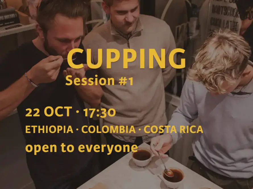 MANANA Cupping Session #1 in Vienna: coffee enthusiasts taste specialty coffees from Ethiopia, Colombia and Costa Rica, including Geisha and co-fermented coffees.